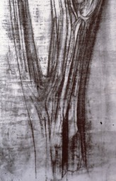 003bis Dessin