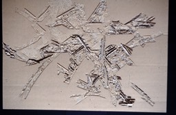 Incision 630
