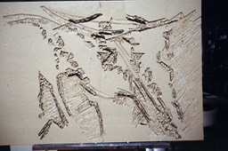 Incision 636