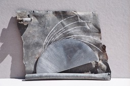Zinc 0044